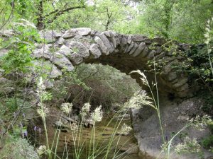 Dans les gorges du Riou...
